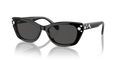 Swarovski SK6019  Sunglasses