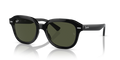 Ray-Ban RB4398F Erik Sunglasses