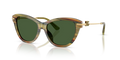 Dolce & Gabbana DG4534  Sunglasses