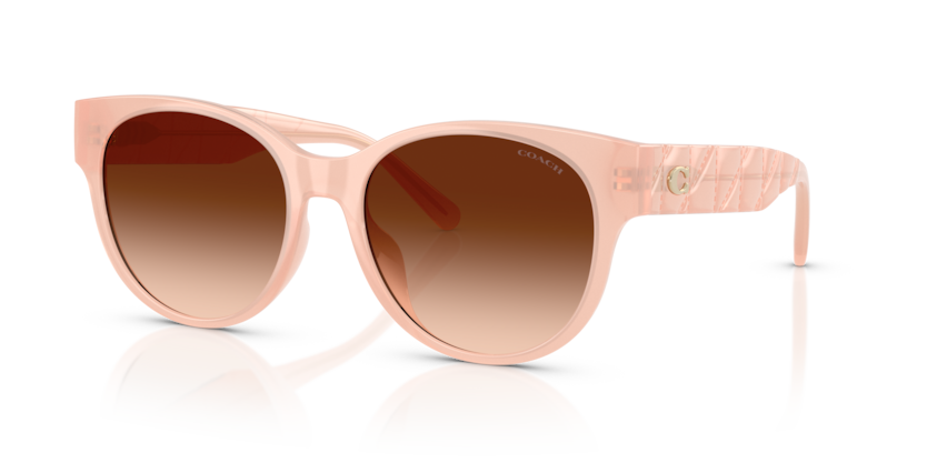 Coach HC8430D Cae87 Sunglasses