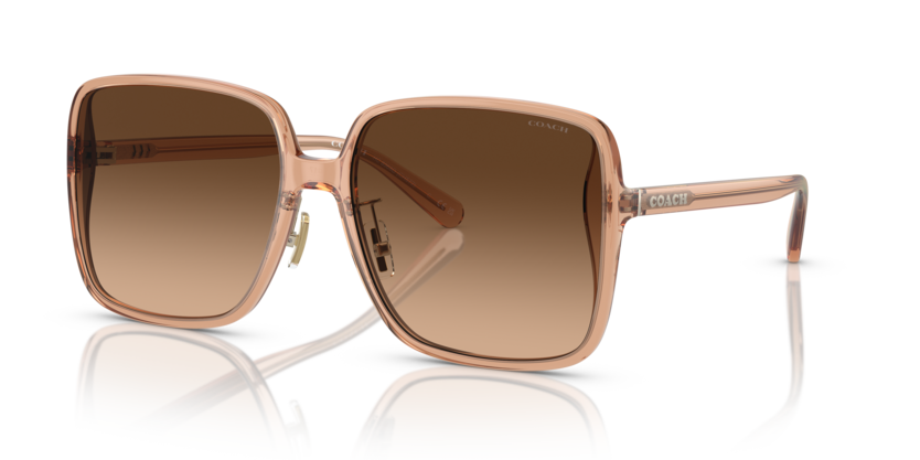 Coach HC8368D Ch572 Sunglasses