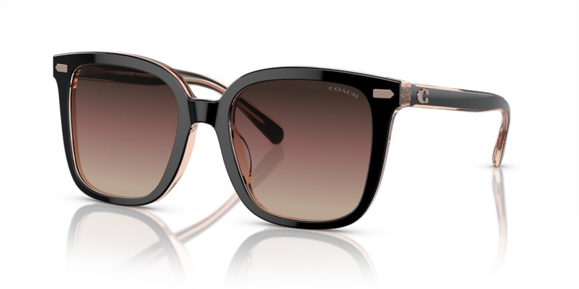 Coach HC8381U Cl918 Sunglasses