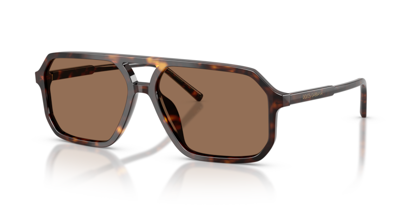 Dolce & Gabbana DG4541  Sunglasses