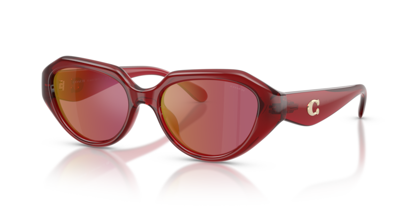 Coach HC8433U Cby77 Sunglasses
