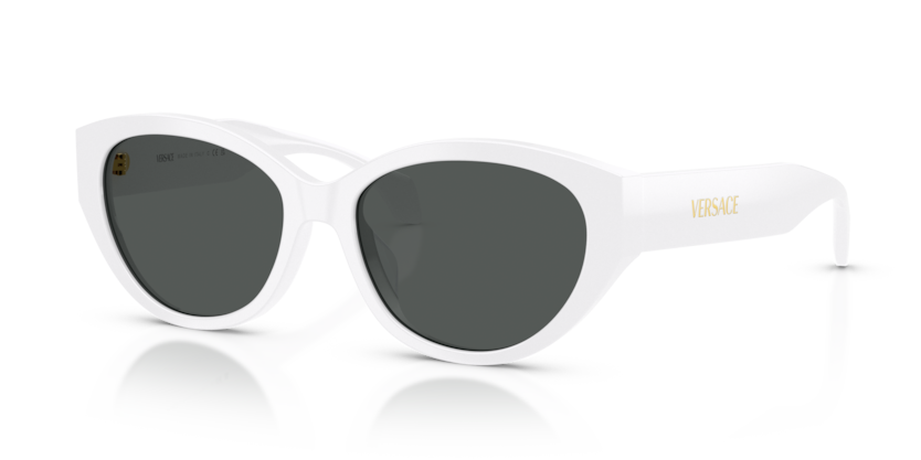 Versace VE4495D  Sunglasses