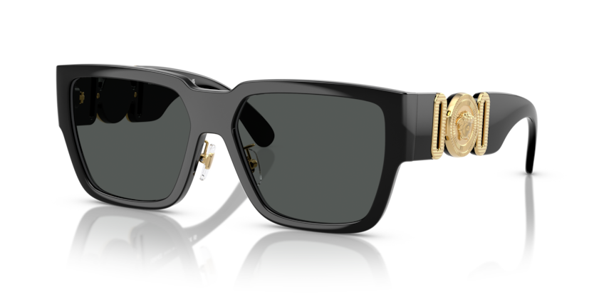 Versace VE4483D  Sunglasses