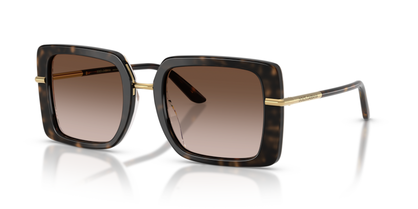 Dolce & Gabbana DG4491  Sunglasses
