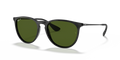 Ray-Ban RB4171F Erika Sunglasses