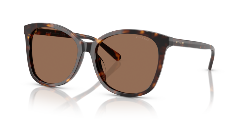 Coach HC8271U L1101 Sunglasses