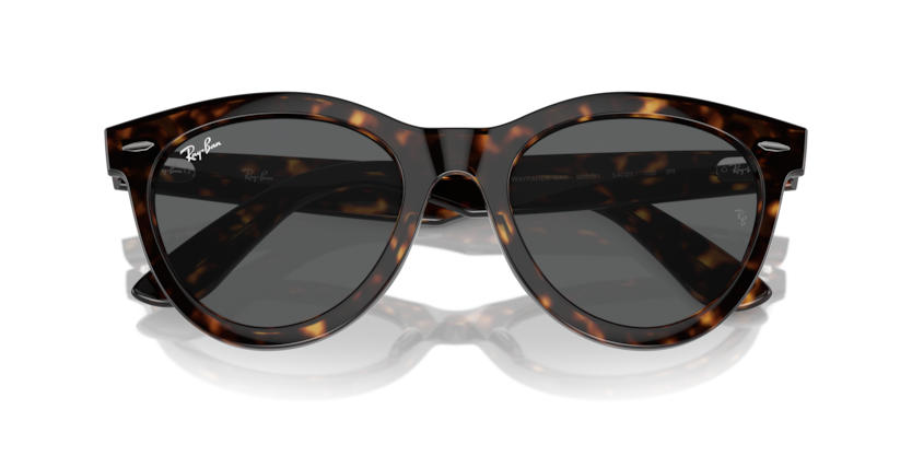 Ray-Ban RB2241 Wayfarer Way Sunglasses