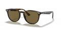 Ray-Ban RB4259F  Sunglasses
