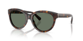 Tiffany TF4271  Sunglasses