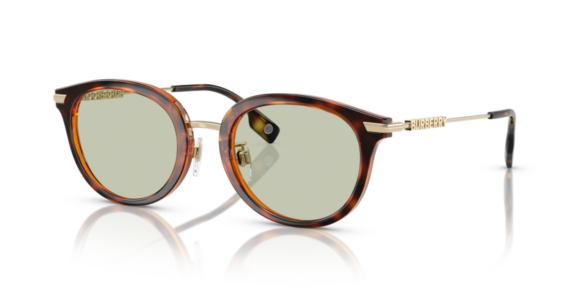 Burberry BE4398D Kelsey Sunglasses