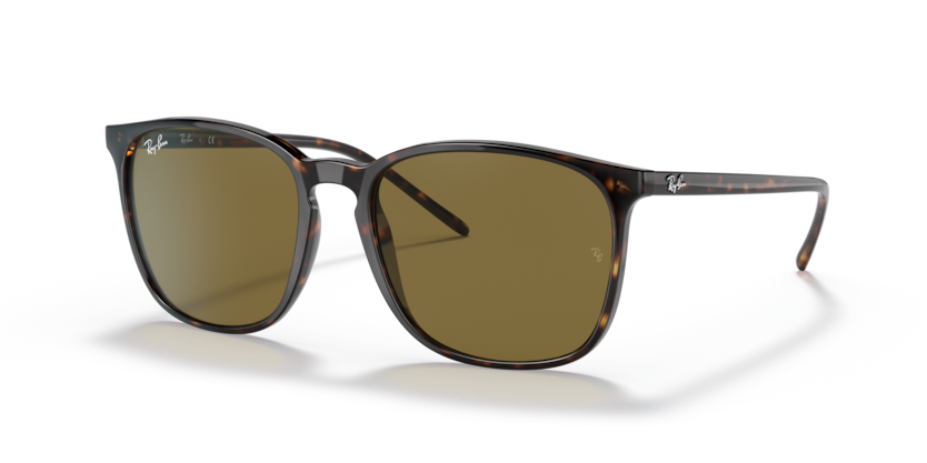 Ray-Ban RB4387F  Sunglasses