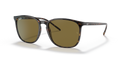 Ray-Ban RB4387F  Sunglasses