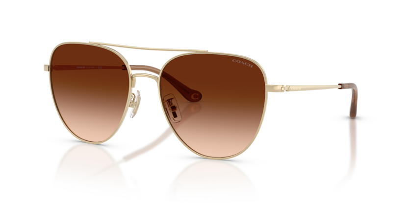 Coach HC7182 Cbz89 Sunglasses