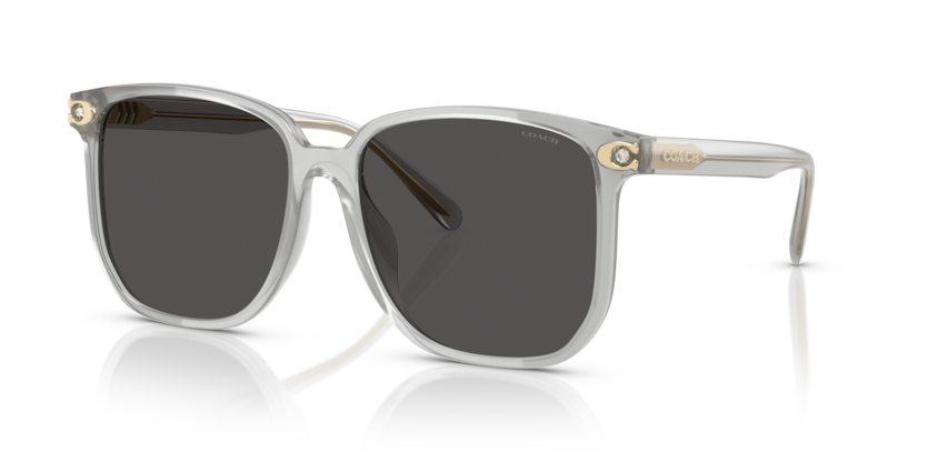 Coach HC8413BD Cw419 Sunglasses