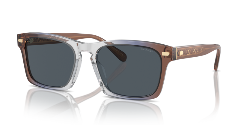 Coach HC8397U Cr628 Sunglasses