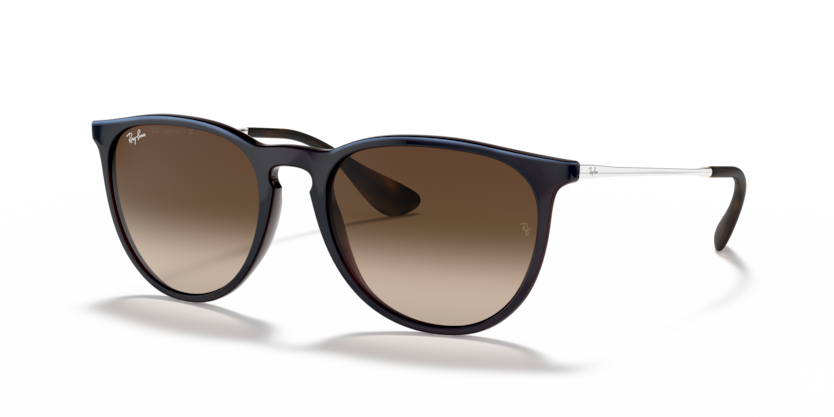 Ray-Ban RB4171 Erika Sunglasses