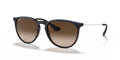 Ray-Ban RB4171 Erika Sunglasses