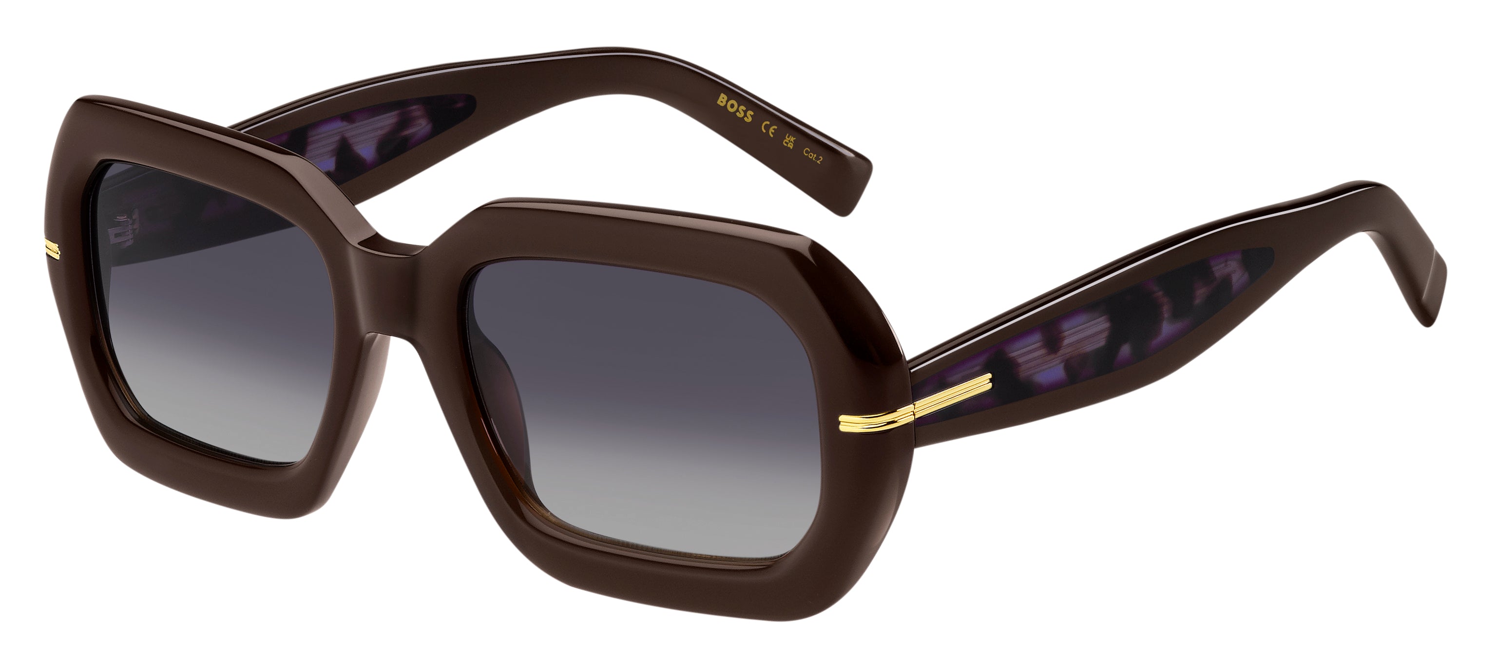 Hugo Boss 1732/g/s Sunglasses