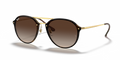 Ray-Ban RB4292N Blaze Doublebridge Sunglasses