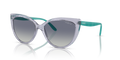Vogue VO5484S  Sunglasses