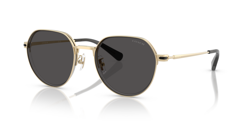 Coach HC7179 Cae81 Sunglasses