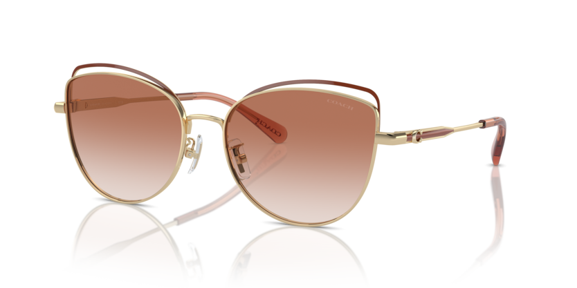 Coach HC7162 Cr621 Sunglasses