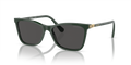 Swarovski SK6004  Sunglasses
