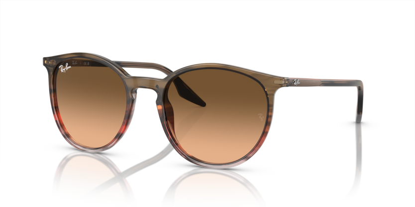 Ray-Ban RB2204  Sunglasses