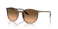 Ray-Ban RB2204  Sunglasses