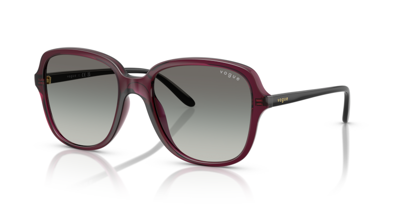 Vogue VO5601S  Sunglasses