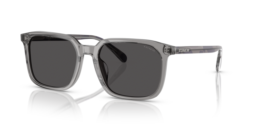 Coach HC8411U Cw405 Sunglasses