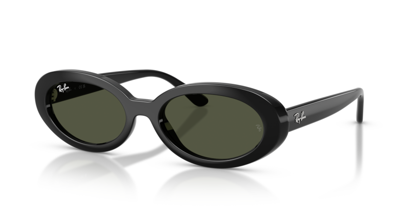 Ray-Ban RB2223F  Sunglasses