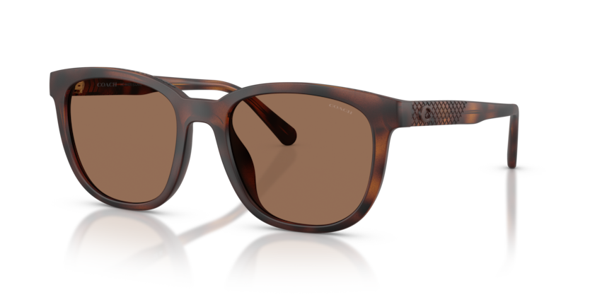Coach HC8442U Cca00 Sunglasses