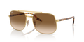 Ray-Ban RB3699  Sunglasses