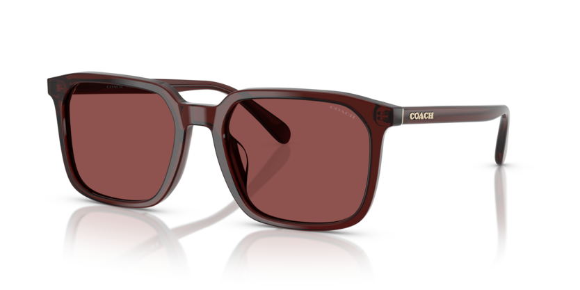 Coach HC8411U Cw405 Sunglasses