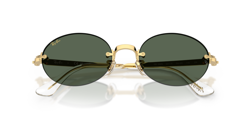 Ray-Ban RB3929  Sunglasses