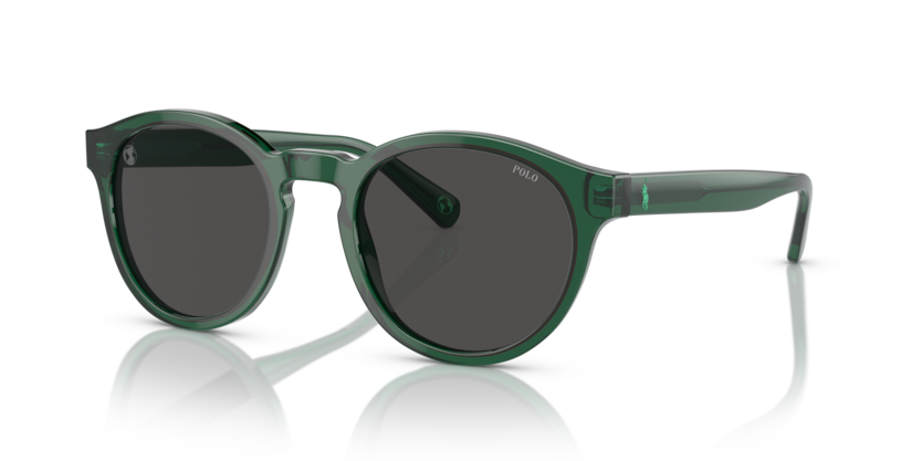 Polo PH4192  Sunglasses