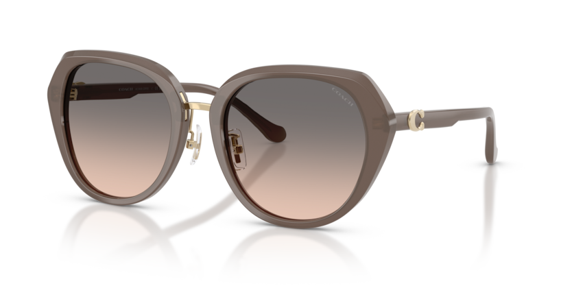 Coach HC8436 Cby93 Sunglasses