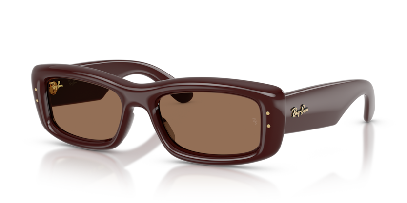 Ray-Ban RB4944  Sunglasses