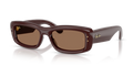 Ray-Ban RB4944  Sunglasses
