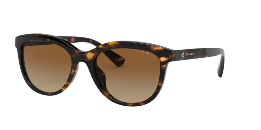 Coach HC8285U L1137 Sunglasses