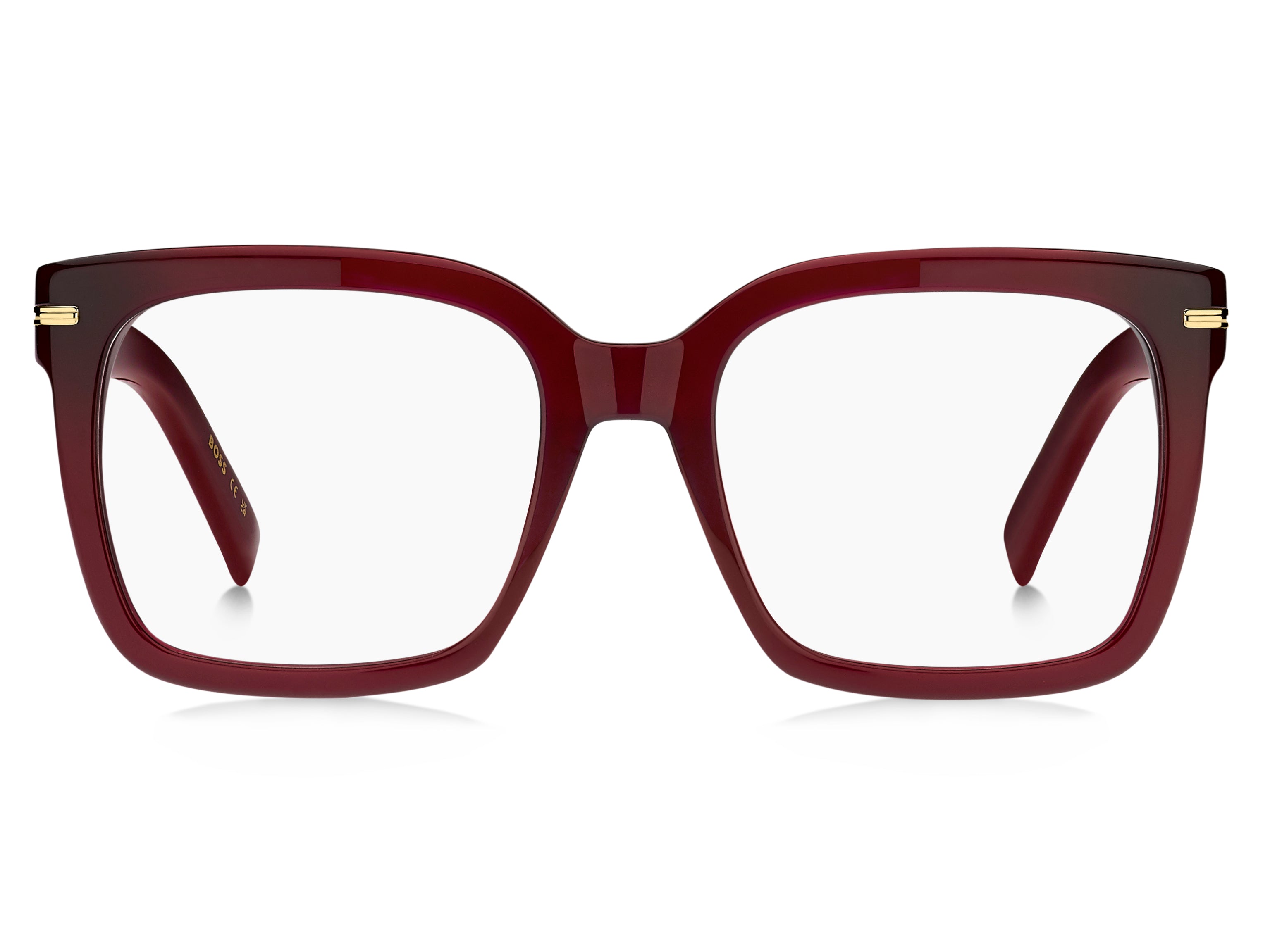 Hugo Boss 1733 Eyeglasses
