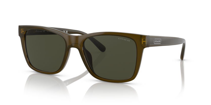 Coach HC8359U Cd455 Sunglasses