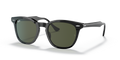 Ray-Ban RB2298 Hawkeye Sunglasses