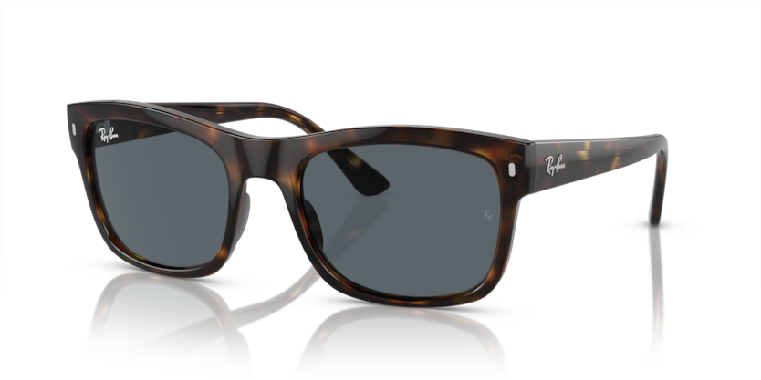 Ray-Ban RB4428  Sunglasses