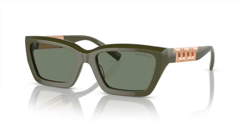 Tiffany TF4213F  Sunglasses