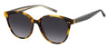 Tommy Hilfiger TH 2289/S Sunglasses